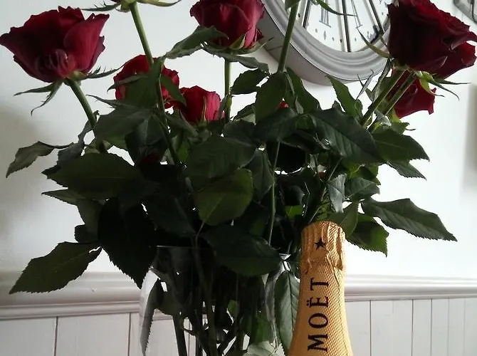 Maison Nº 20 Lägenhet Eymet